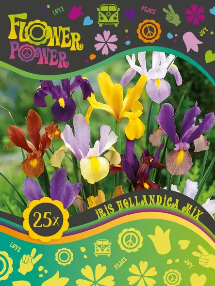 Flower Power Hollanninkurjenmiekkamix 25 kpl - Syyssipulit - 8711148241843 - 1