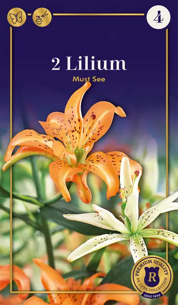 Aasianlilja 'Must See' 2 kpl - Kukkasipulit - 8711148308614 - 1