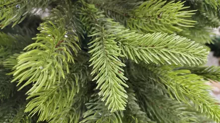 Lapland Joulukuusi vihreä, 150 cm - Joulutuotteet - 6412740053408 - 2